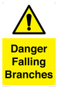 danger-falling-branches~